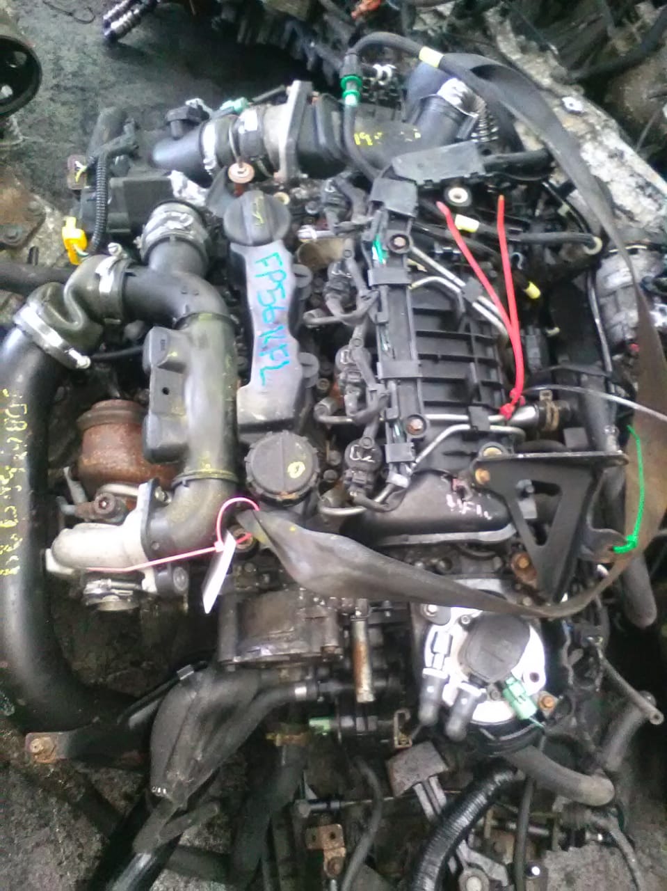 G8DB/10JB 1.6 TDi