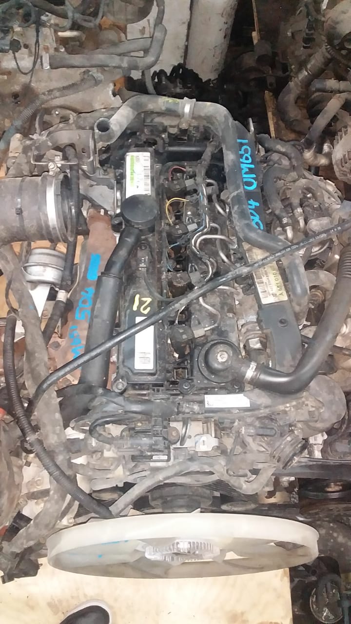 651