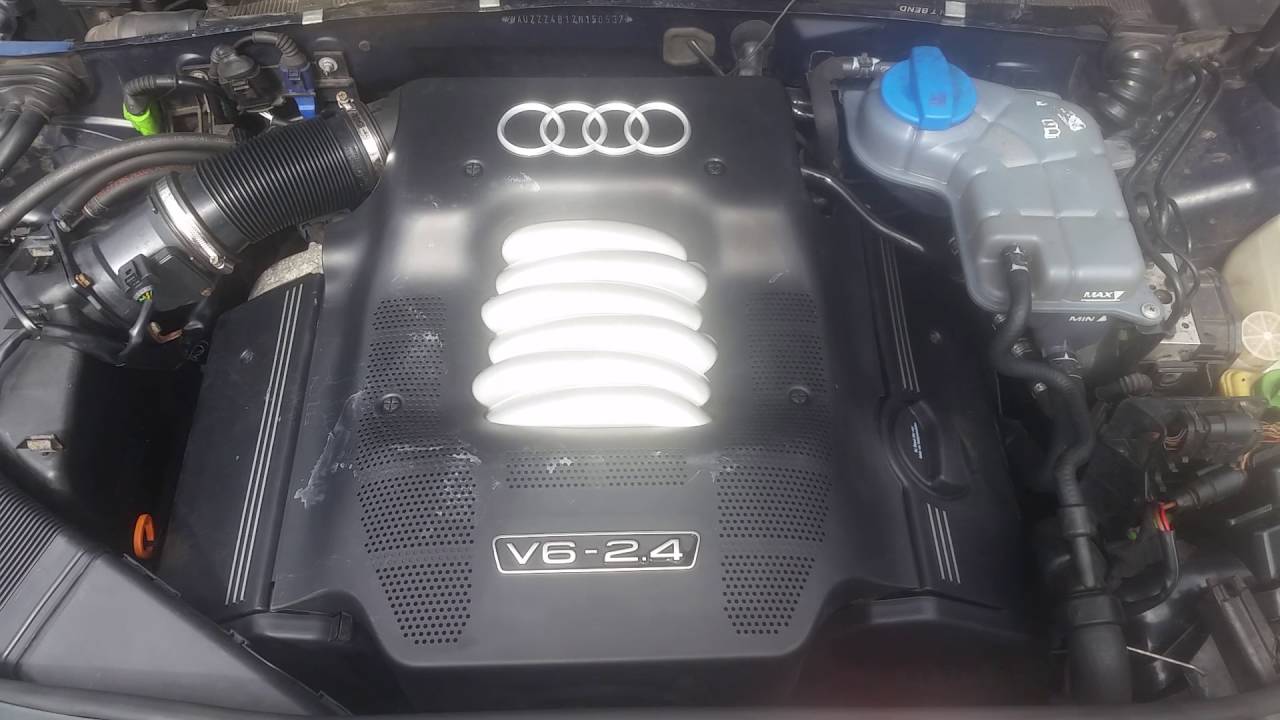 BDV V6